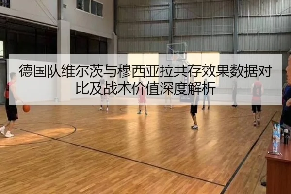 德国队维尔茨与穆西亚拉共存效果数据对比及战术价值深度解析